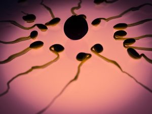 wie man die Spermienzahl bei Männern erhöht